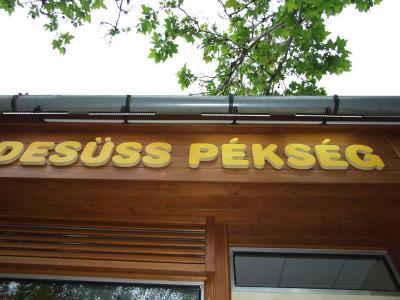 Cégnév LED-es megvilágítása nappal